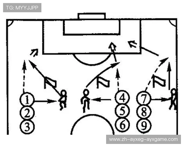 足球训练中的战术演练与全场控制